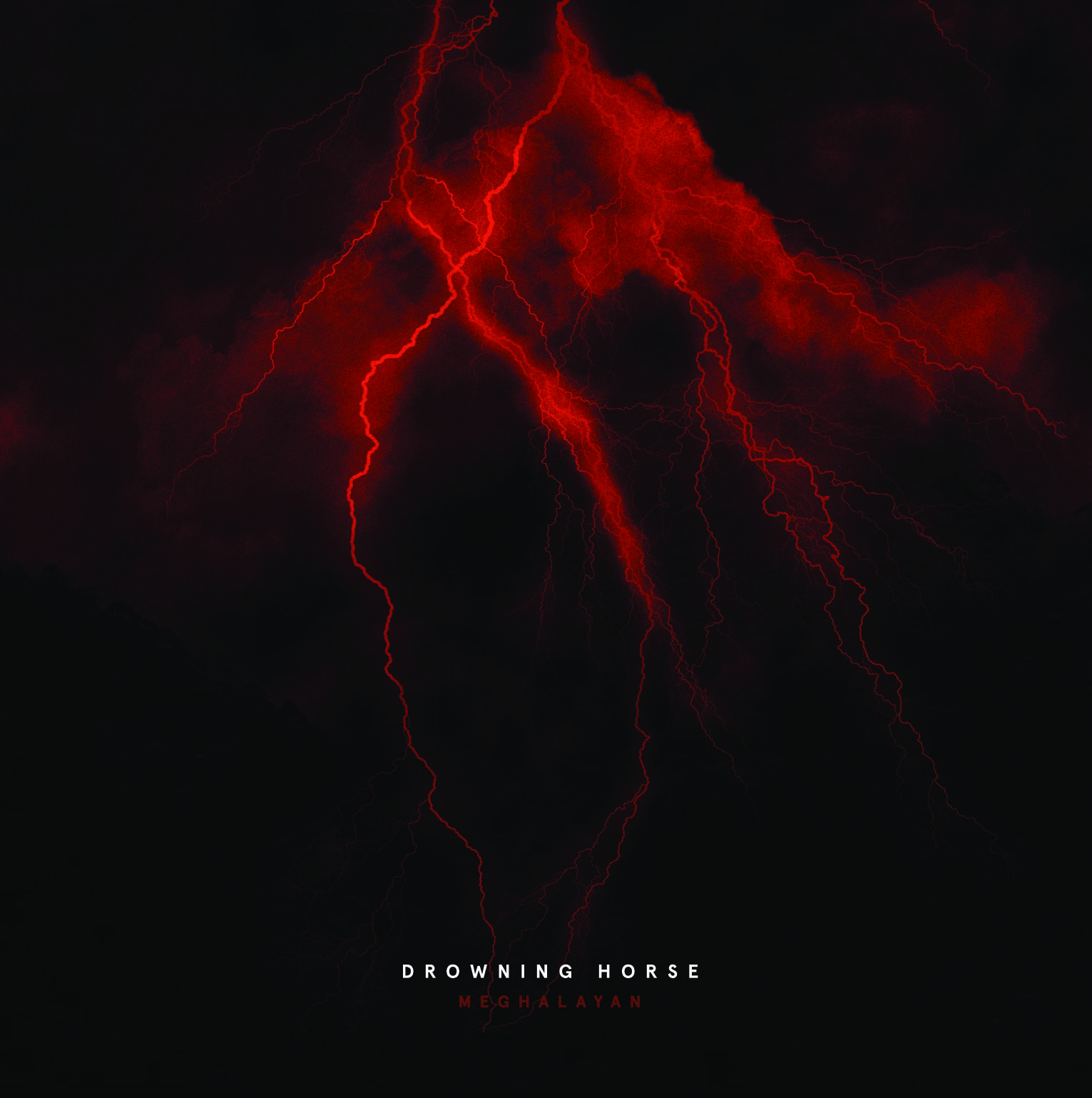 Drowning Horse - Meghalayan 12"