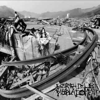 Earth Crust Displacement - D-Takt Noize CS