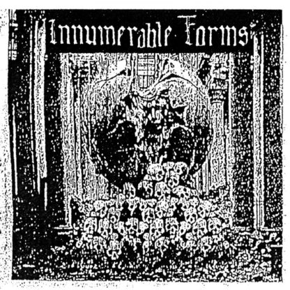 Innumerable Forms - Despotic Rule CS