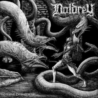 Doldrey - Celestial Deconstruction LP