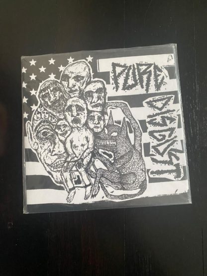 Pure Disgust - S/T 7"