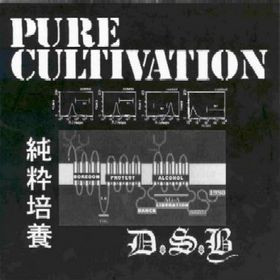 Pure Cultivation - DSB 7"