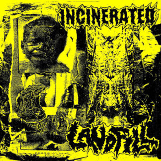 Incinerated / Landfill - Split