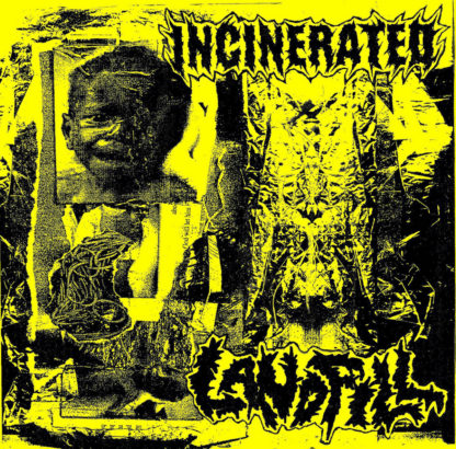 Incinerated / Landfill - Split