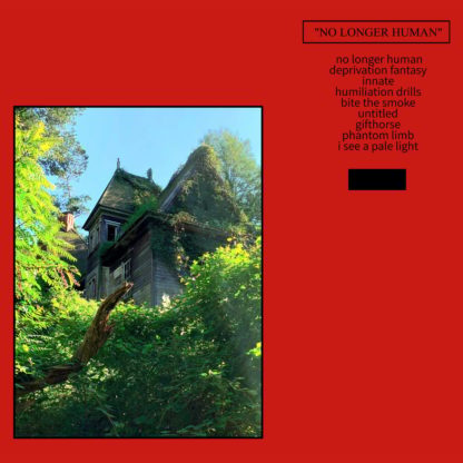 Hologram - No Longer Human LP
