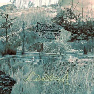 Rigorous Institution - Cainsmarsh LP