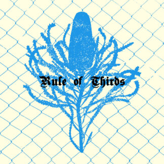 Rule Of Thirds - S/T LP