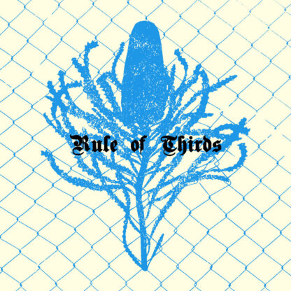 Rule Of Thirds - S/T LP