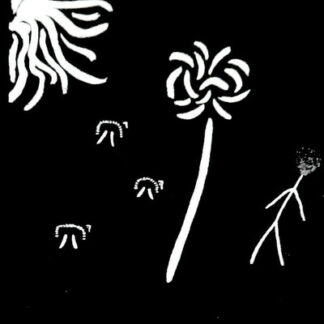 Pious Faults - Old Thread
