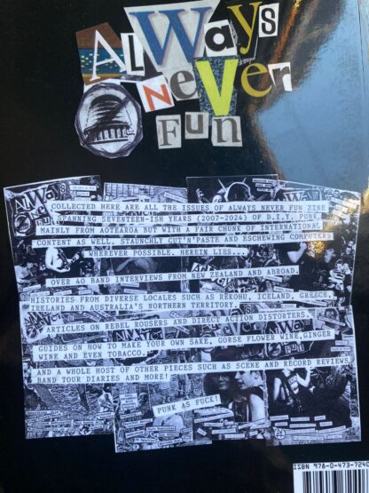 Always Never Fun Book - Image 2
