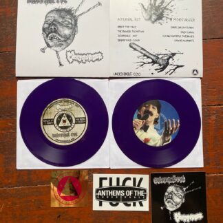 Internal Rot / Moisturiser - Split 7"