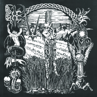 *** PRE ORDER *** Ruined Virtue - A Garden Without Birds 7"