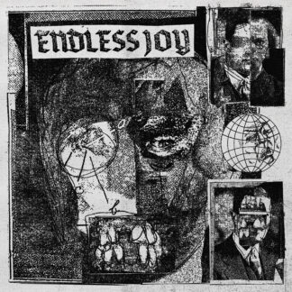 *** PRE ORDER *** Endless Joy - S/T LP