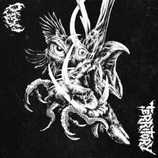 *** PRE ORDER *** AGLO / Territory - Split LP
